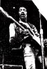 jimi lebt